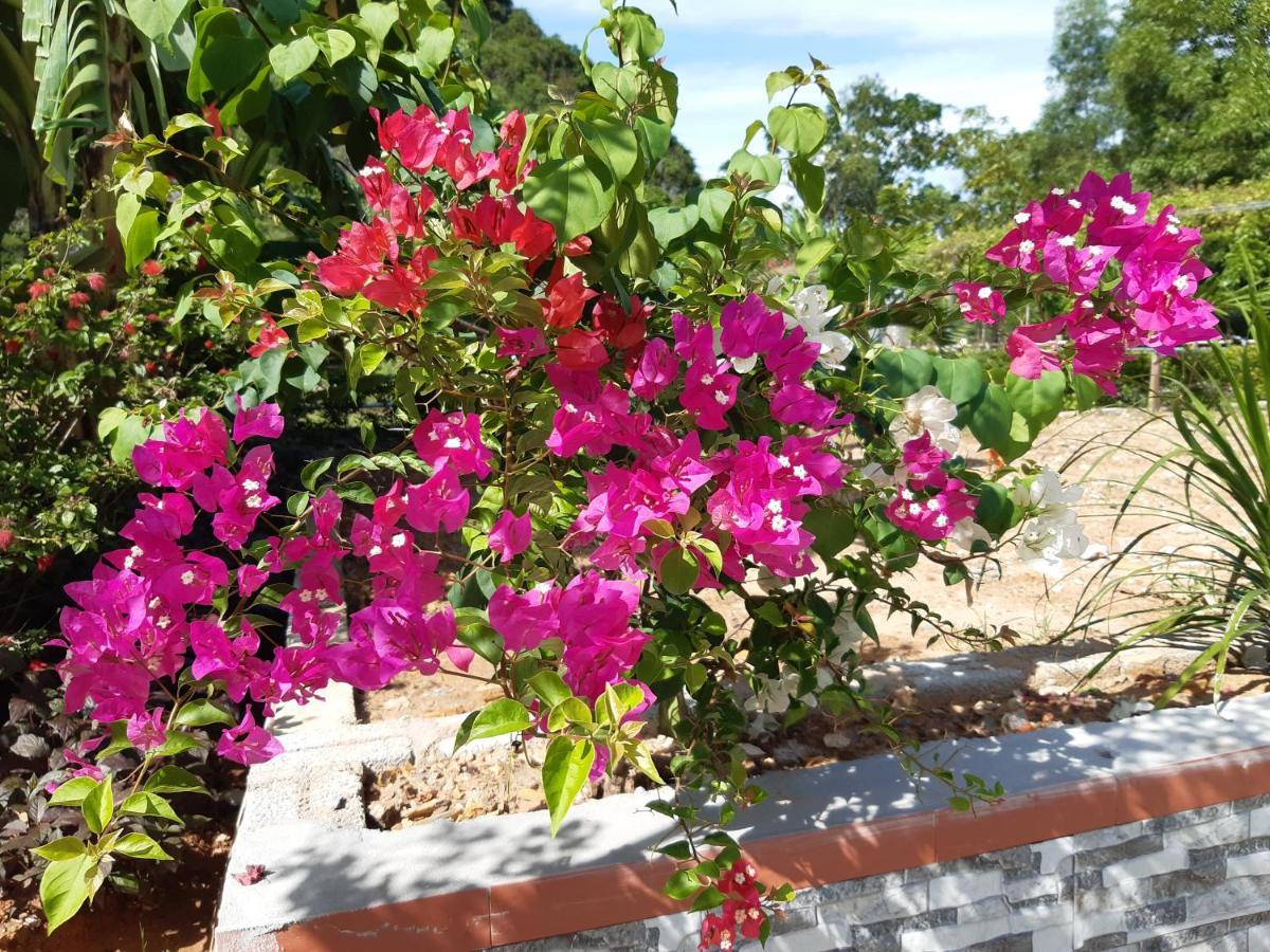 Phong Nha Bolero Bungalow Экстерьер фото